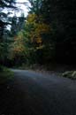 Autumn Photo