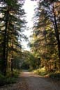 Autumn Photo
