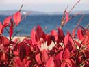 Autumn Photo