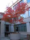 Autumn Photo
