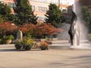 Autumn Photo