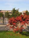 Autumn Photo