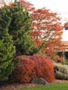 Autumn Photo