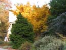 Autumn Photo