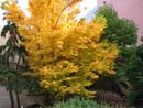 Autumn Photo