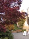 Autumn Photo
