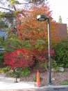 Autumn Photo