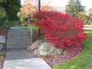 Autumn Photo