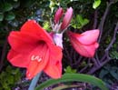 Summer Photo